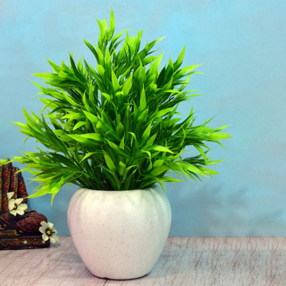 http://13.235.91.190/products/green-white-artificial-bamboo-leaves-in-apple-pot