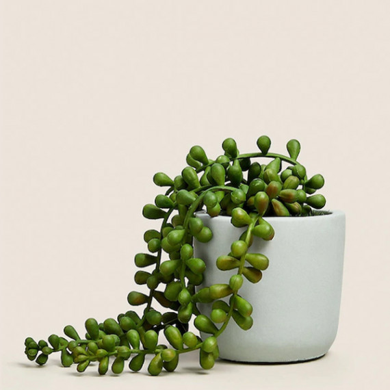 http://13.235.91.190/products/green-artificial-plant-with-pot